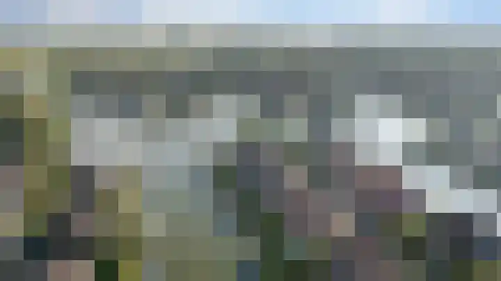 De Greiden 36 Indijk thumbnail 31