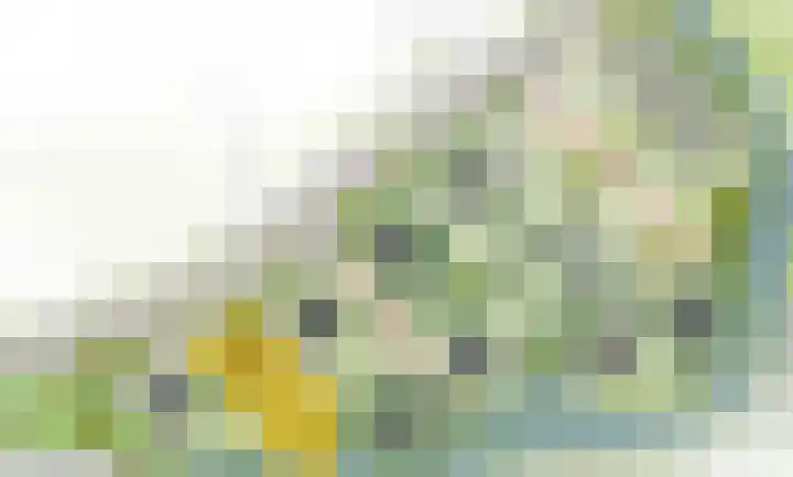 De Groendijck 2 Driebruggen thumbnail 5
