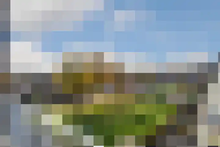 De Groenling 35 Weert thumbnail 4