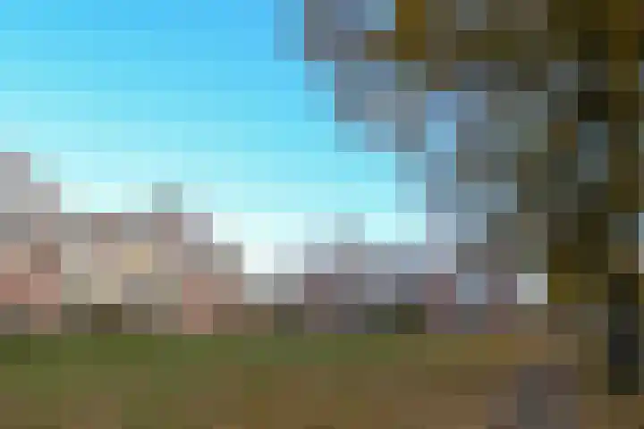 De Groenling 35 Weert thumbnail 5