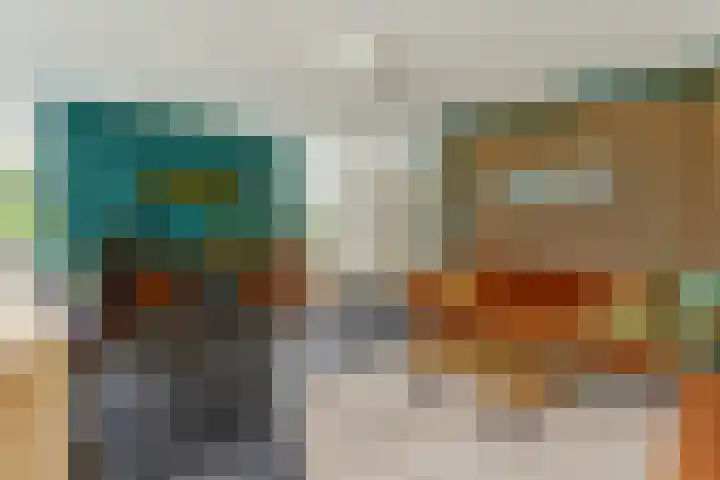 De Groes 2 d Schalkwijk thumbnail 10