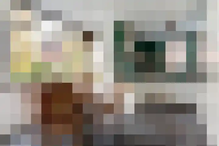 De Groes 2 d Schalkwijk thumbnail 13