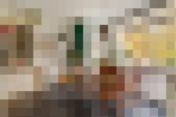 De Groes 2 d Schalkwijk thumbnail 17