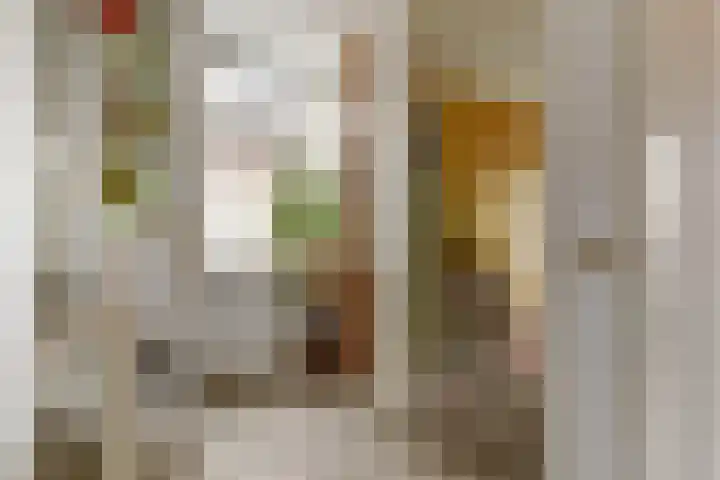 De Groes 2 d Schalkwijk thumbnail 27