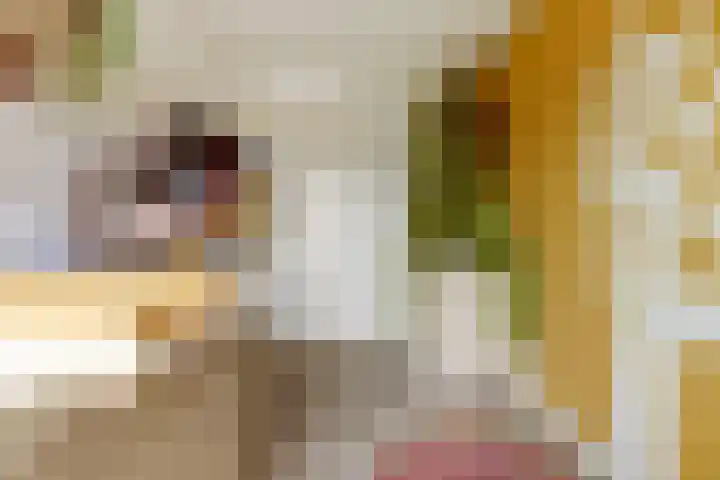 De Groes 2 d Schalkwijk thumbnail 29