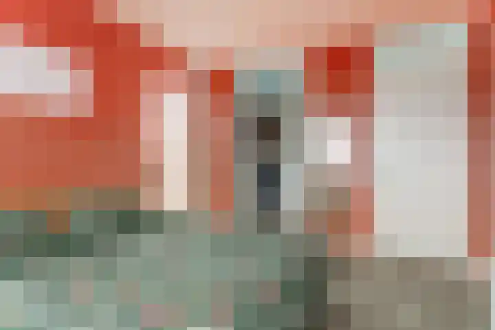 De Groes 2 d Schalkwijk thumbnail 32
