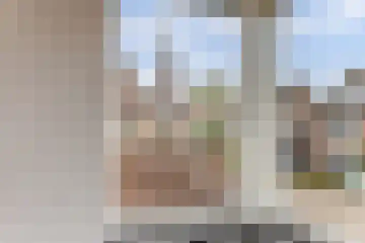 De Groes 2 d Schalkwijk thumbnail 38
