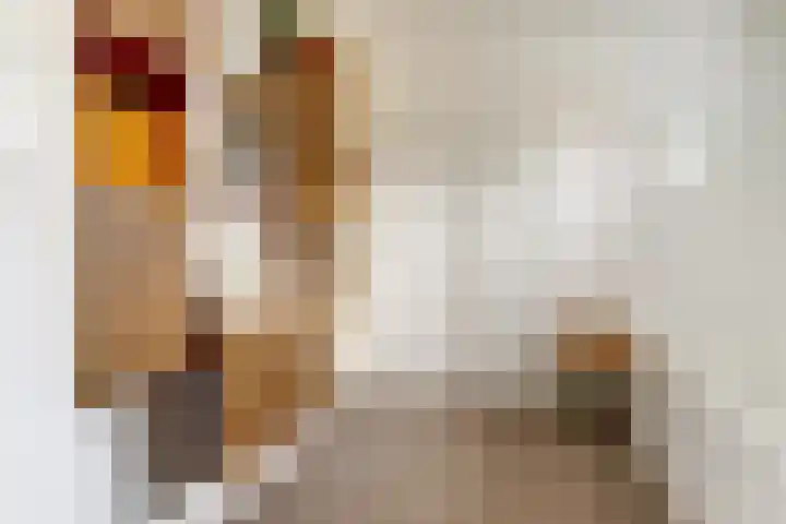 De Groes 2 d Schalkwijk thumbnail 39