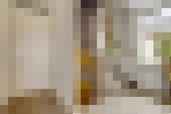 De Groes 2 d Schalkwijk thumbnail 42