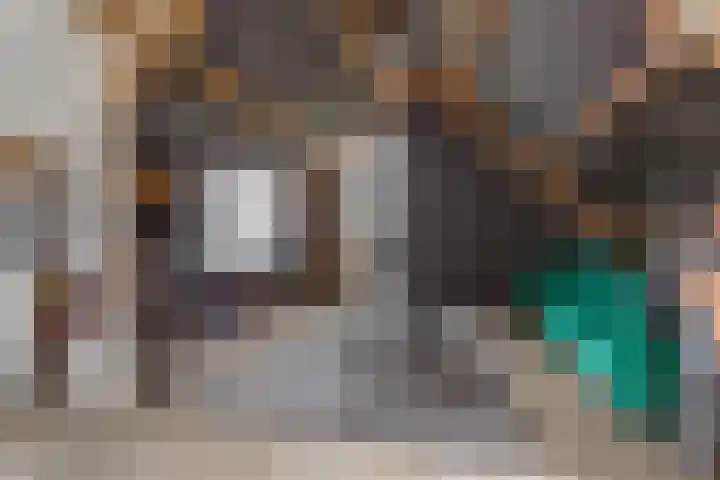 De Groes 2 d Schalkwijk thumbnail 43