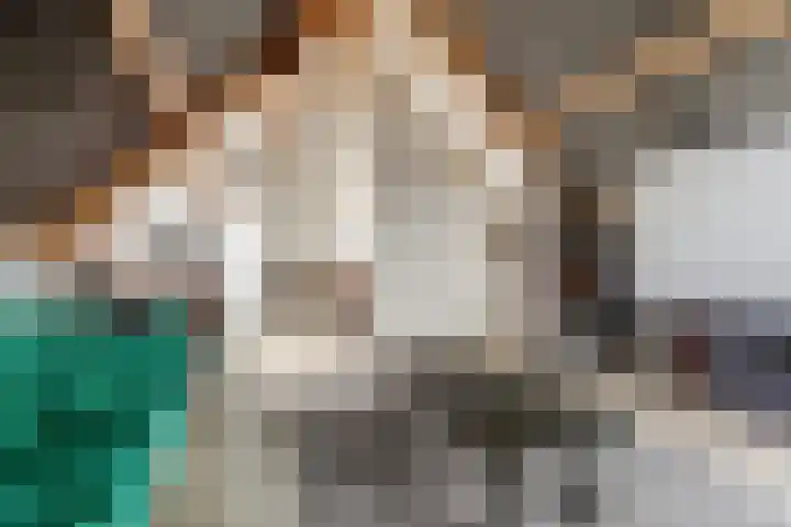 De Groes 2 d Schalkwijk thumbnail 44