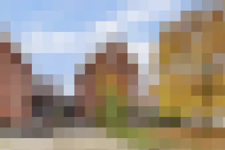 De Groes 2 d Schalkwijk thumbnail 49