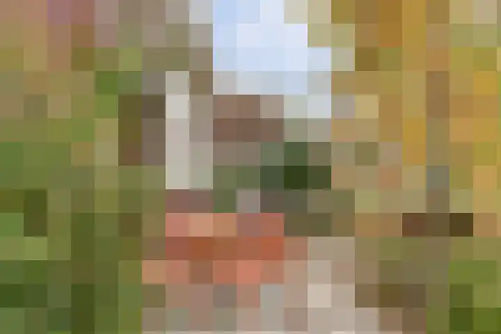 De Groes 2 d Schalkwijk thumbnail 5