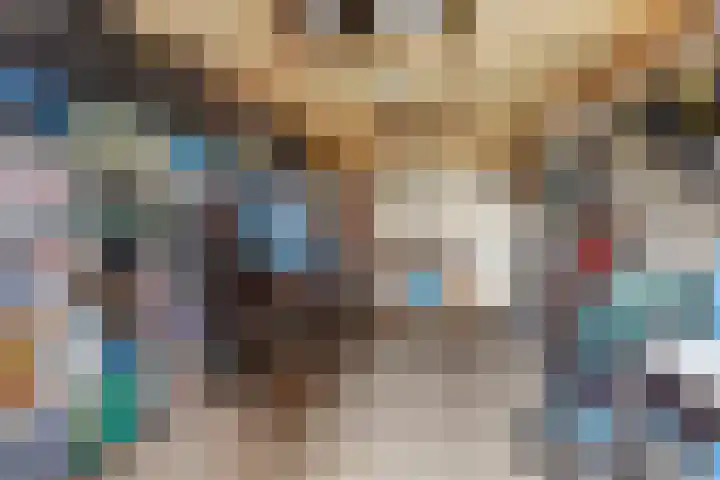 De Groes 2 d Schalkwijk thumbnail 52