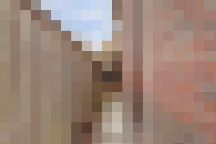 De Groes 2 d Schalkwijk thumbnail 53