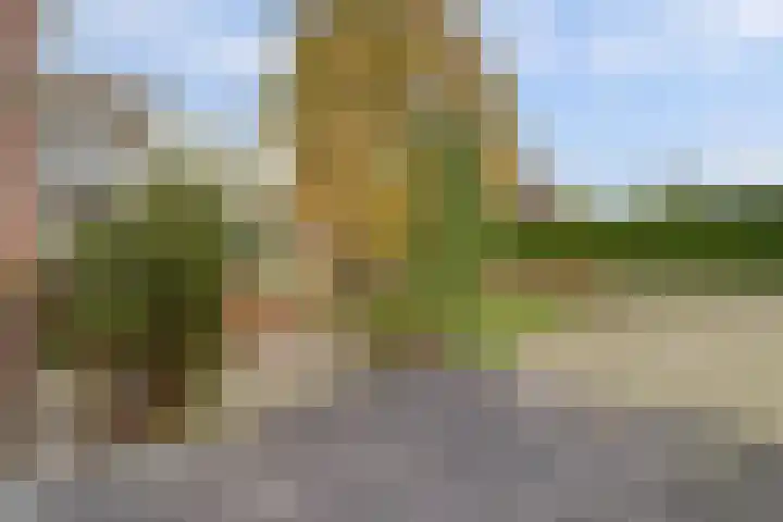 De Groes 2 d Schalkwijk thumbnail 55
