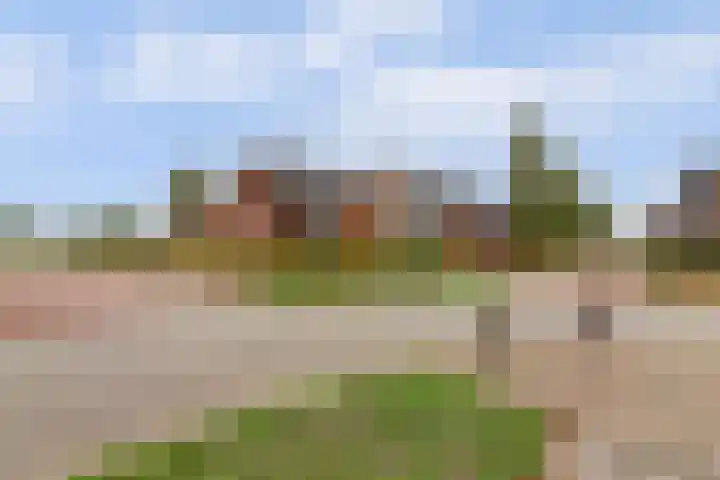 De Groes 2 d Schalkwijk thumbnail 59