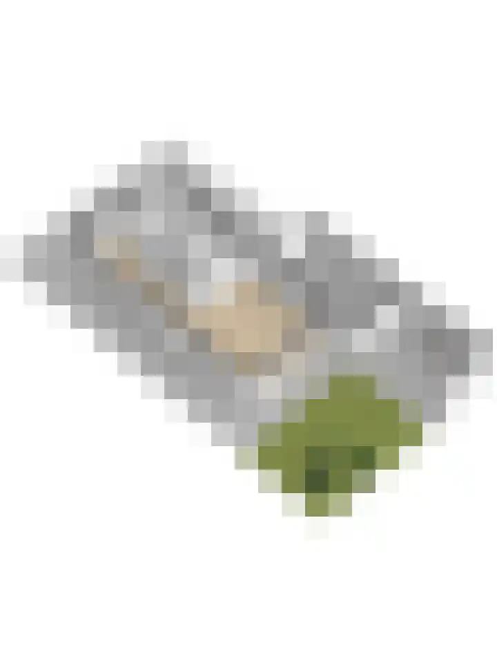 De Groes 2 d Schalkwijk thumbnail 64