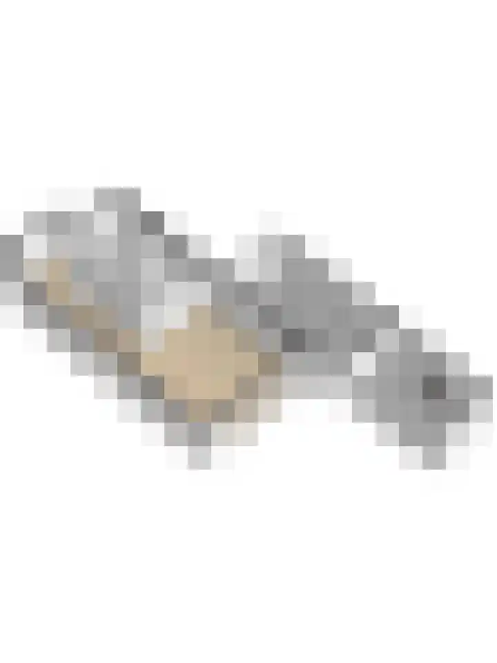 De Groes 2 d Schalkwijk thumbnail 65