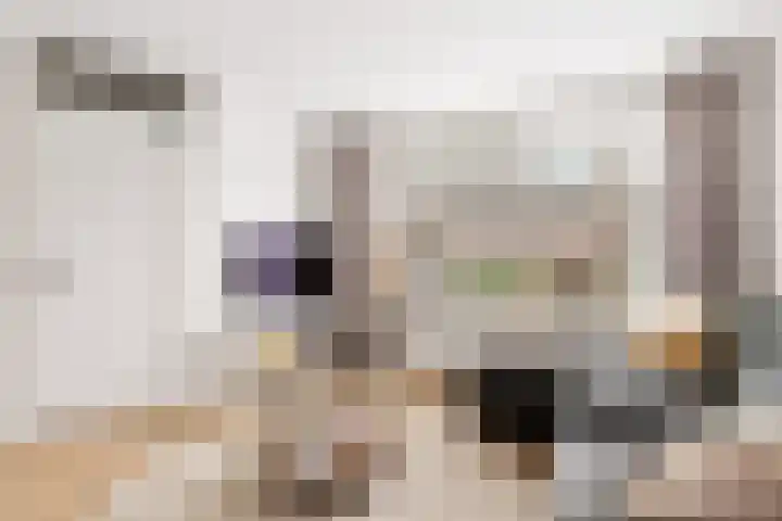 De Groes 6 Schalkwijk thumbnail 13