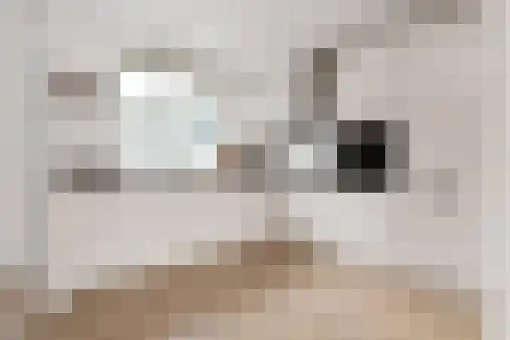 De Groes 6 Schalkwijk thumbnail 14