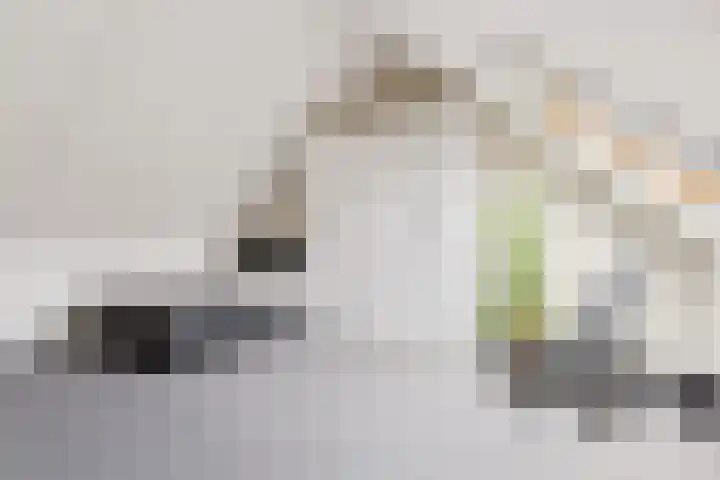 De Groes 6 Schalkwijk thumbnail 39