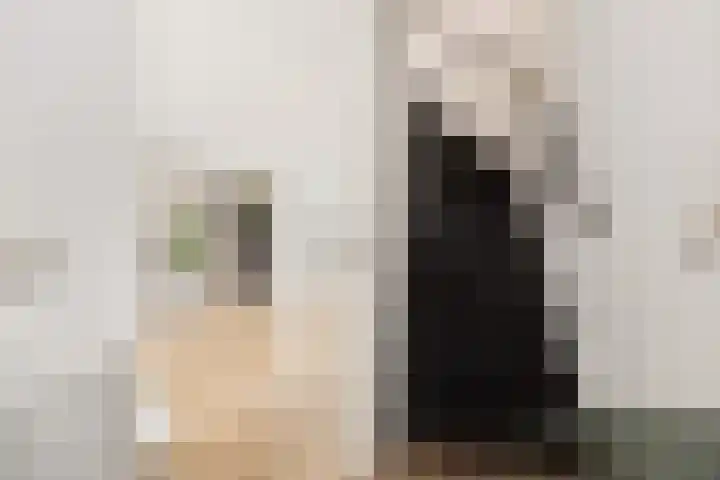 De Groes 6 Schalkwijk thumbnail 5