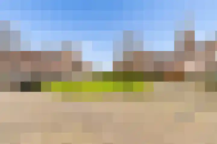 De Groes 6 Schalkwijk thumbnail 54