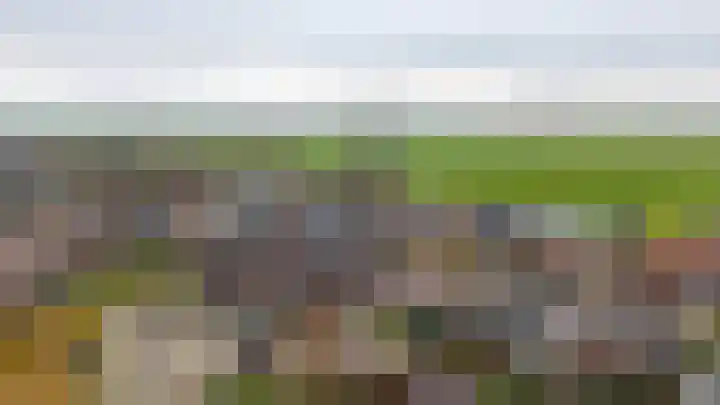 De Groes 6 Schalkwijk thumbnail 56