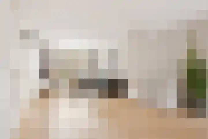 De Groes 6 Schalkwijk thumbnail 6