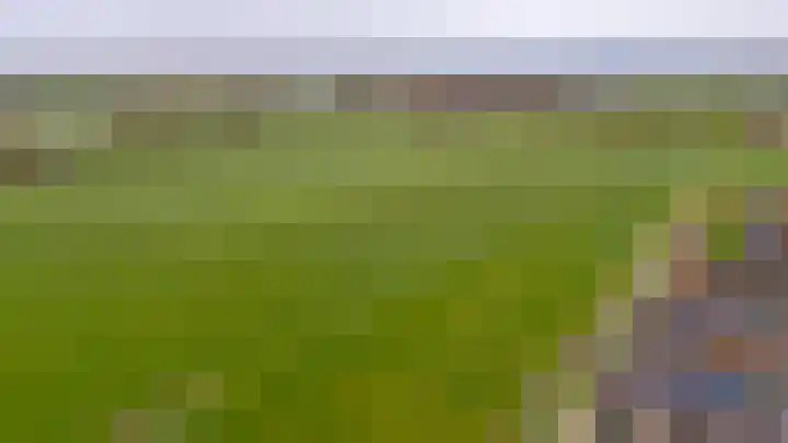 De Groes 6 Schalkwijk thumbnail 60