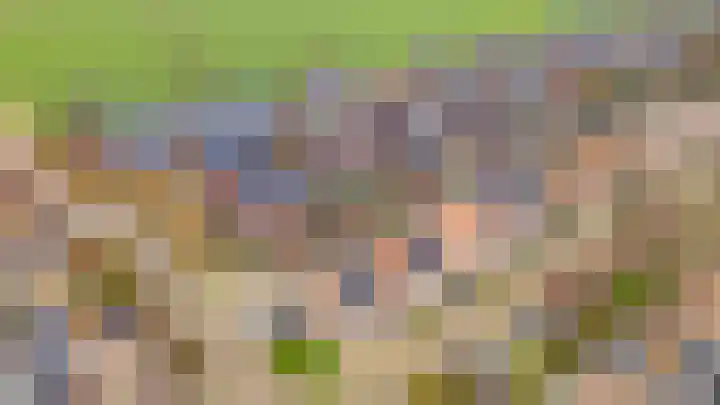 De Groes 6 Schalkwijk thumbnail 63