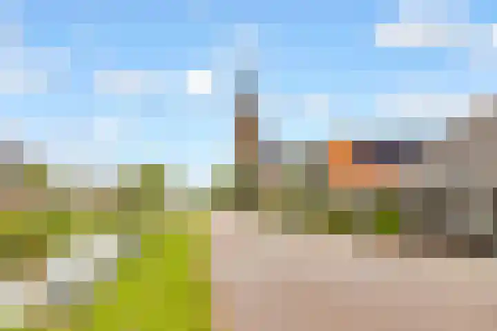De Groes 6 Schalkwijk thumbnail 66