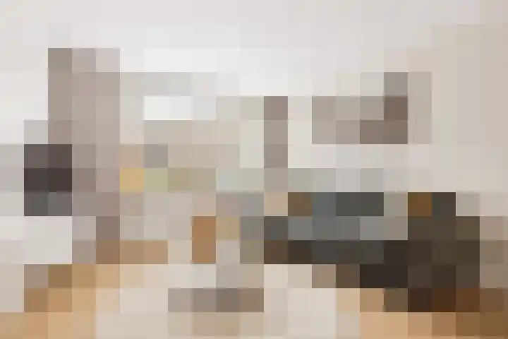 De Groes 6 Schalkwijk thumbnail 7