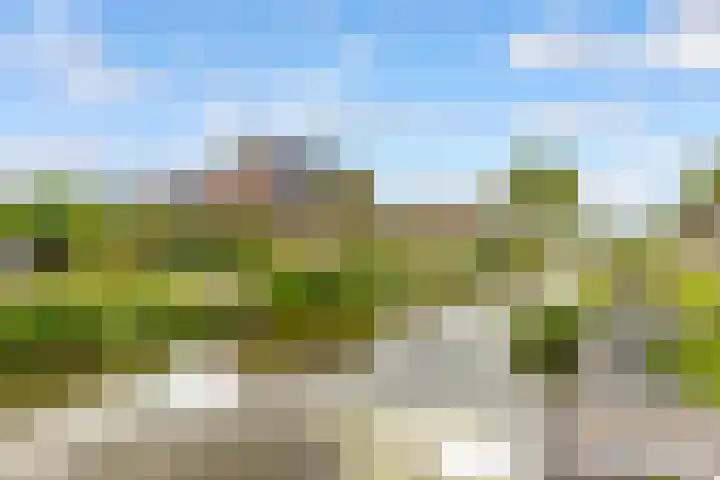 De Groes 6 Schalkwijk thumbnail 70