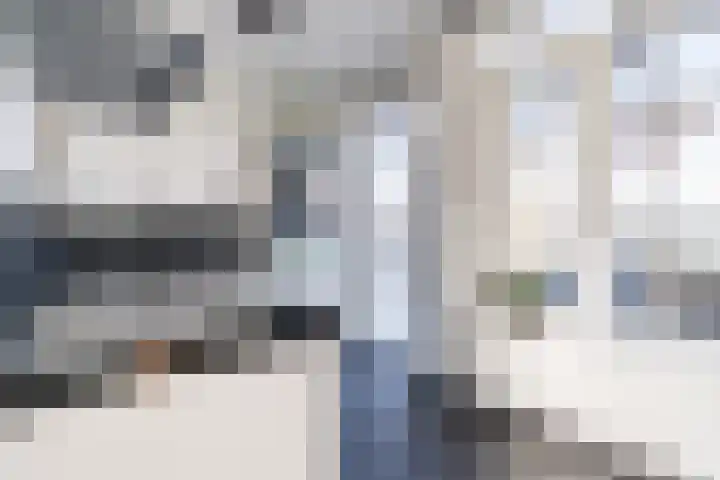 De Groos 1 Ell thumbnail 11