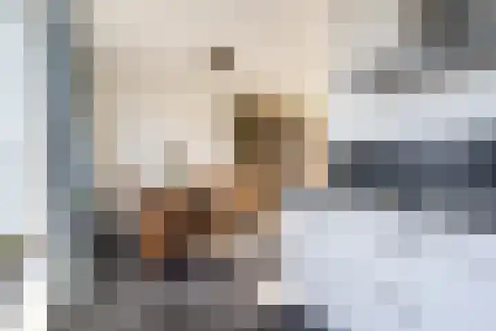 De Groos 1 Ell thumbnail 12