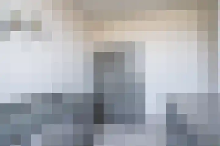 De Groos 1 Ell thumbnail 19