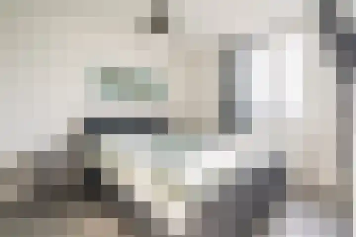 De Groos 1 Ell thumbnail 20