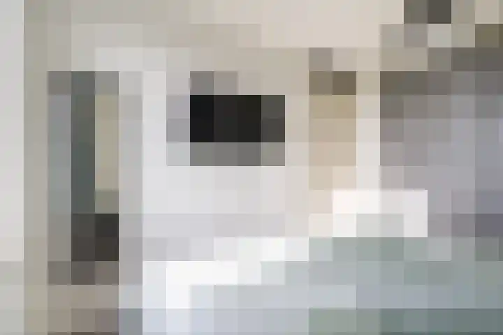 De Groos 1 Ell thumbnail 22