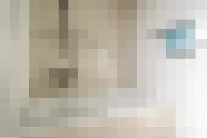 De Groos 1 Ell thumbnail 25