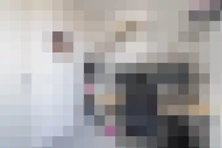 De Groos 1 Ell thumbnail 30