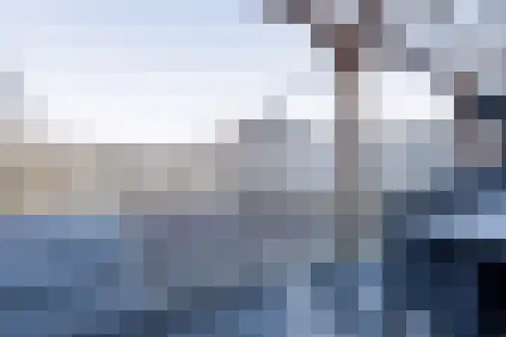 De Groos 1 Ell thumbnail 33