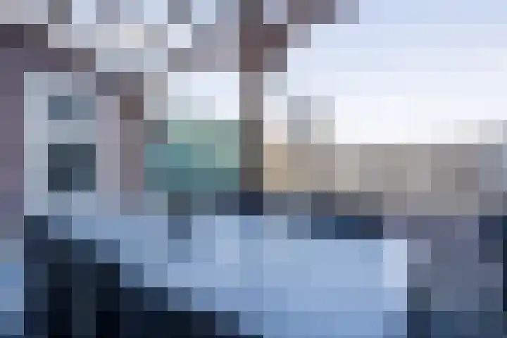 De Groos 1 Ell thumbnail 34
