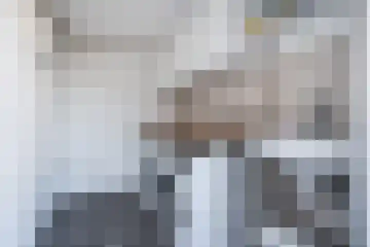 De Groos 1 Ell thumbnail 38