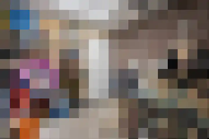 De Groos 1 Ell thumbnail 40