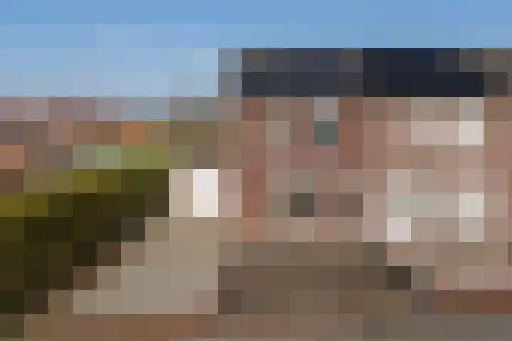 De Groos 1 Ell thumbnail 41
