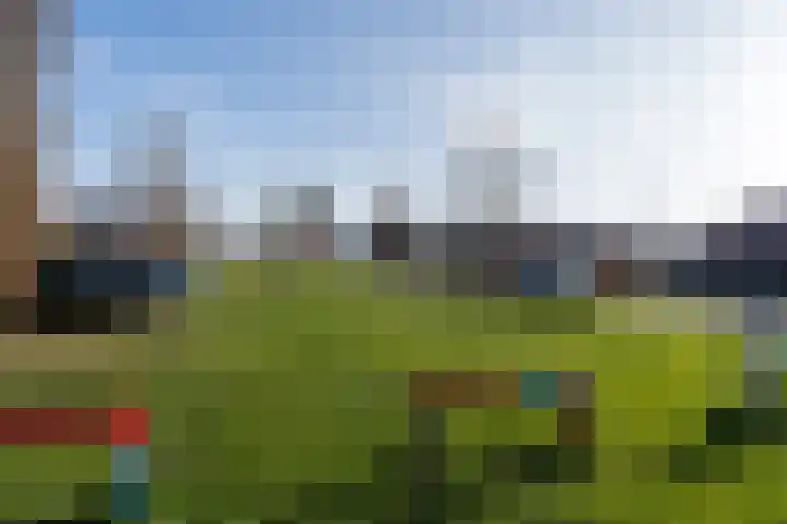 De Groos 1 Ell thumbnail 43