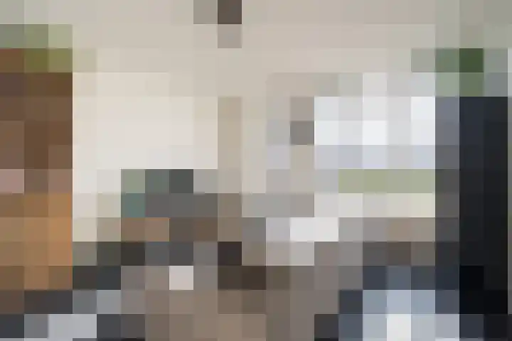 De Groos 1 Ell thumbnail 5