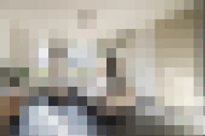 De Groos 1 Ell thumbnail 6